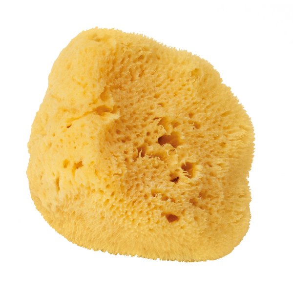 Silk Sponge 10 cm